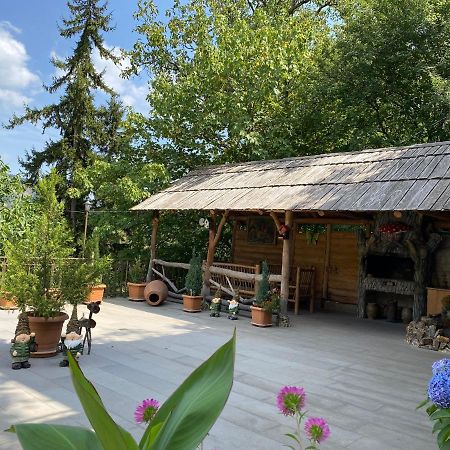 Anano'S Guesthouse Borjomi Exterior photo