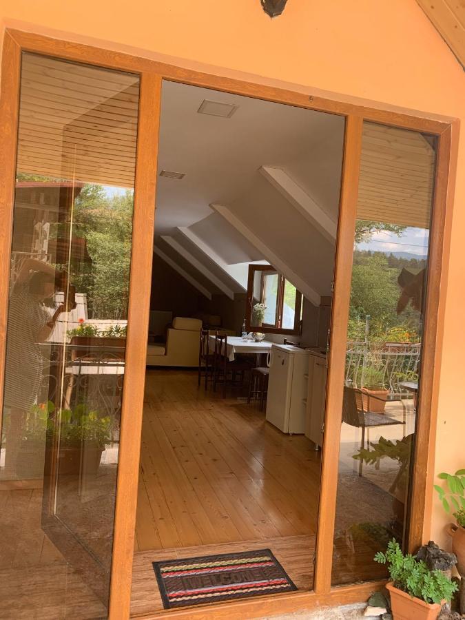 Anano'S Guesthouse Borjomi Exterior photo