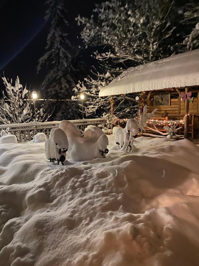 Anano'S Guesthouse Borjomi Exterior photo