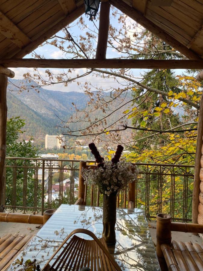 Anano'S Guesthouse Borjomi Exterior photo