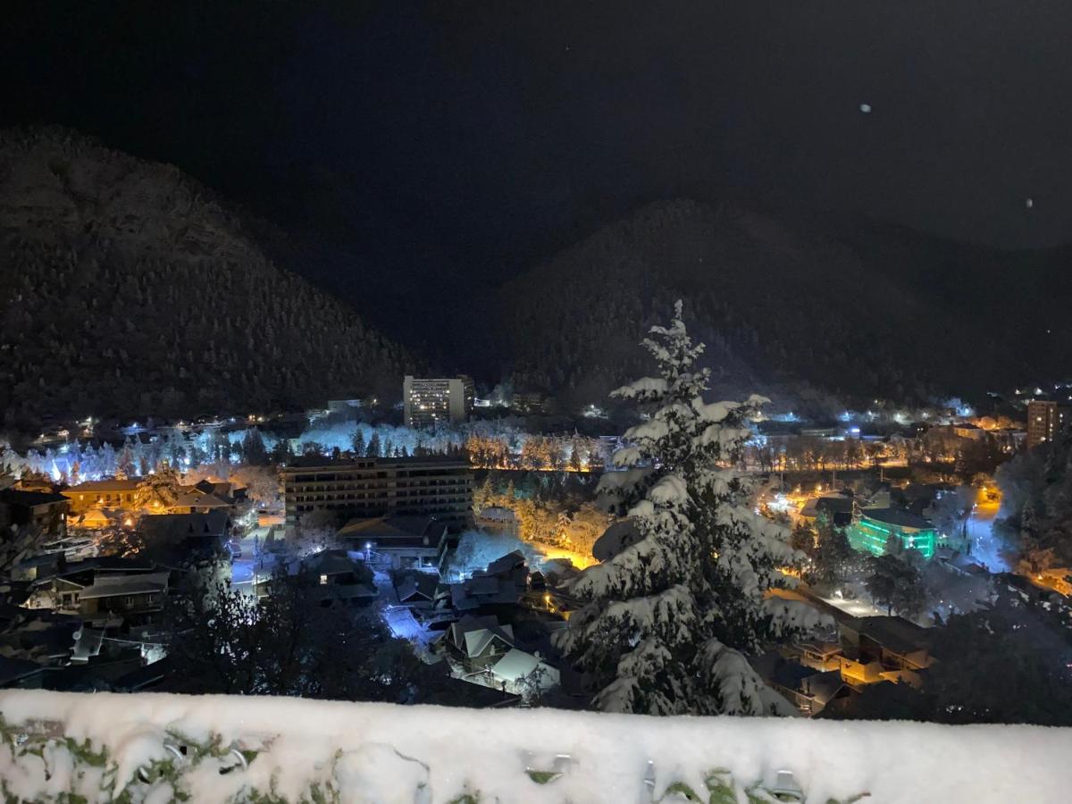 Anano'S Guesthouse Borjomi Exterior photo