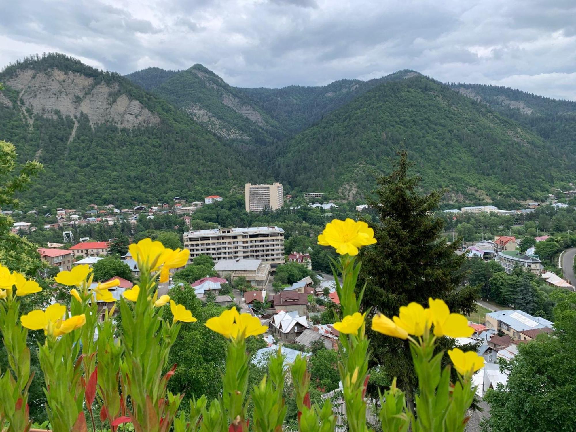 Anano'S Guesthouse Borjomi Exterior photo