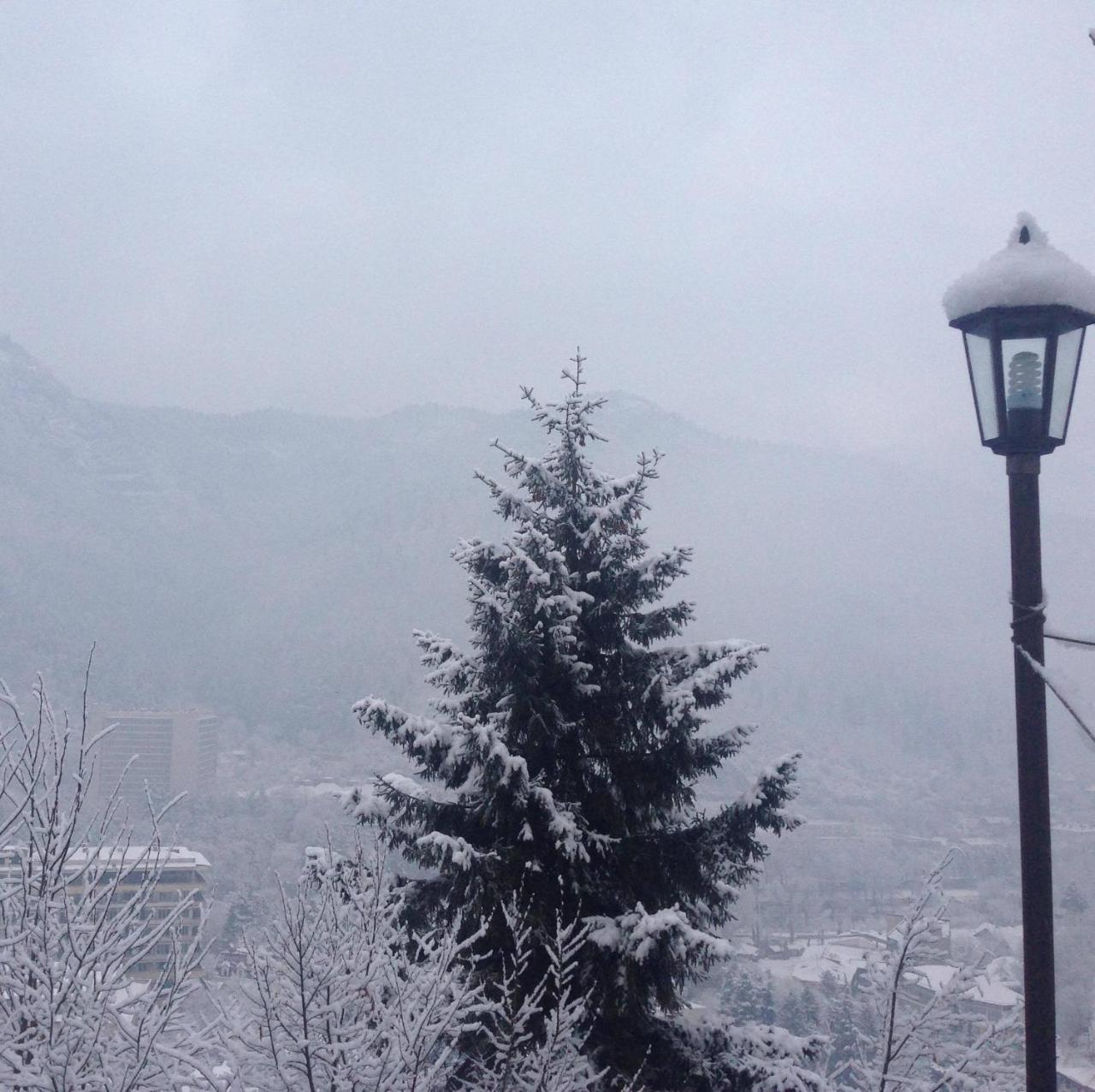 Anano'S Guesthouse Borjomi Exterior photo