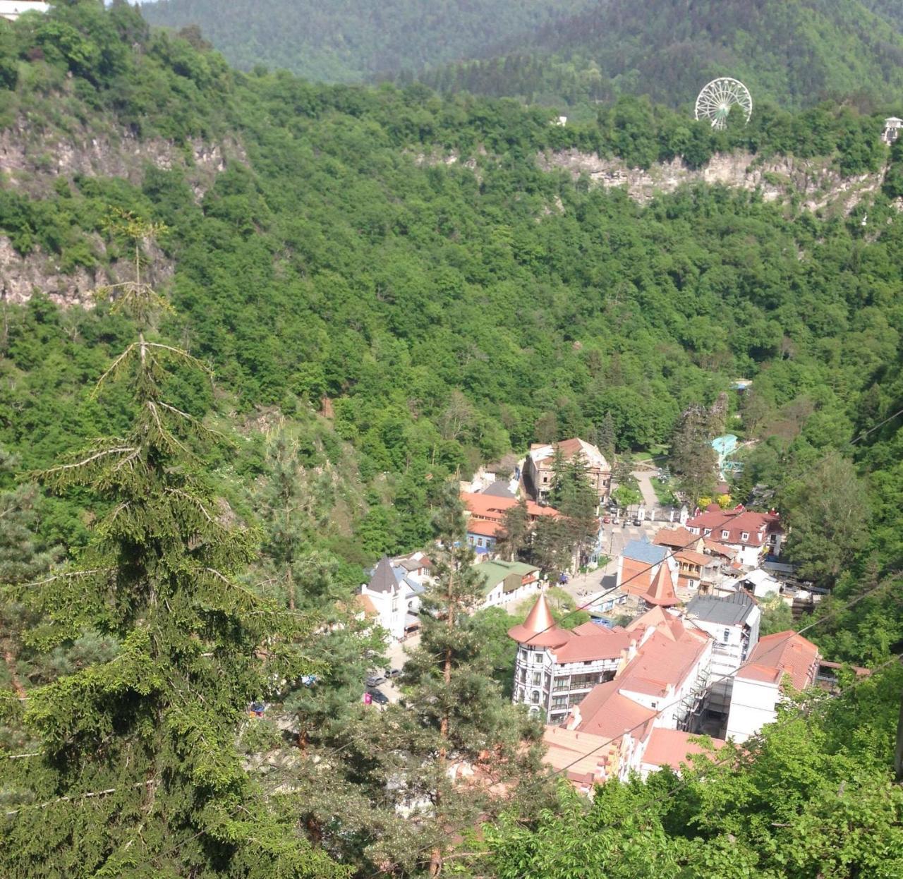 Anano'S Guesthouse Borjomi Exterior photo
