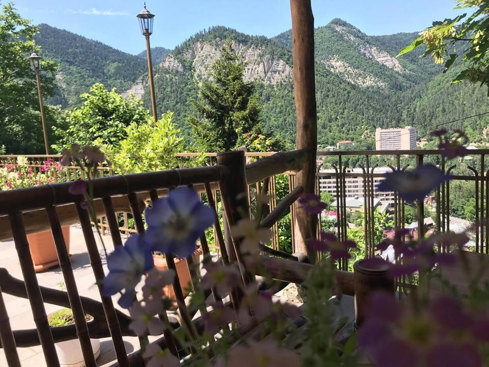 Anano'S Guesthouse Borjomi Exterior photo