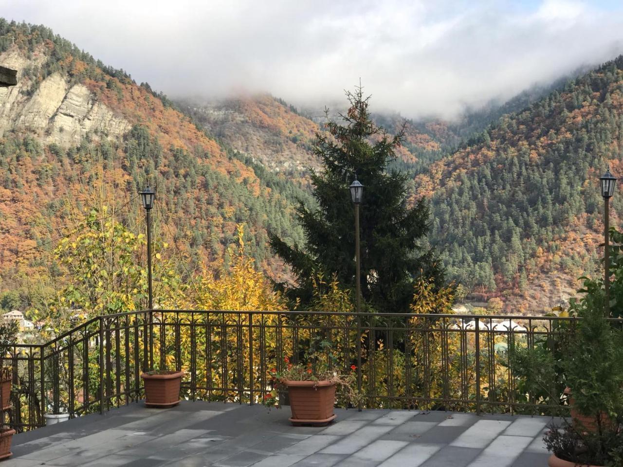 Anano'S Guesthouse Borjomi Exterior photo
